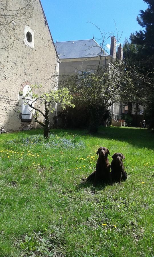 La Sauldre Bed & Breakfast Vailly-sur-Sauldre Dış mekan fotoğraf