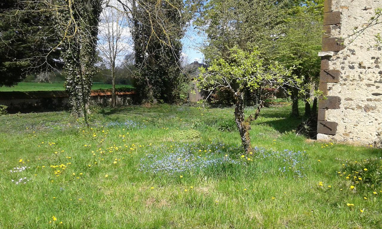 La Sauldre Bed & Breakfast Vailly-sur-Sauldre Dış mekan fotoğraf